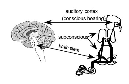 Retraining Hearing