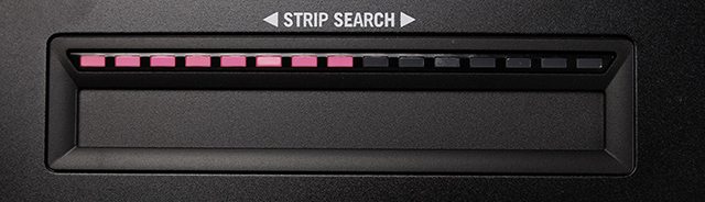 strip-search